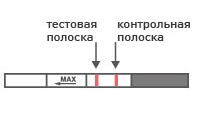 Задержка менструации: причины при негативном тесте на беременность